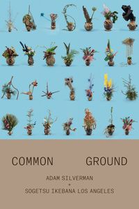 Cover image for Adam Silverman: Common Ground