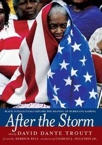 Cover image for After The Storm: Black Intellectuals Explore the Meaning of Hurricane Katrina