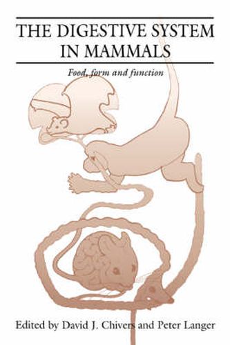 Cover image for The Digestive System in Mammals: Food Form and Function