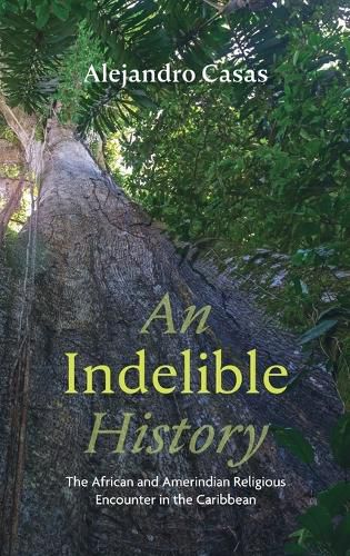 Cover image for An Indelible History