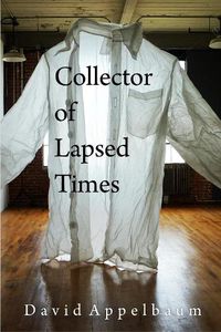 Cover image for Collector Of Lapsed Times