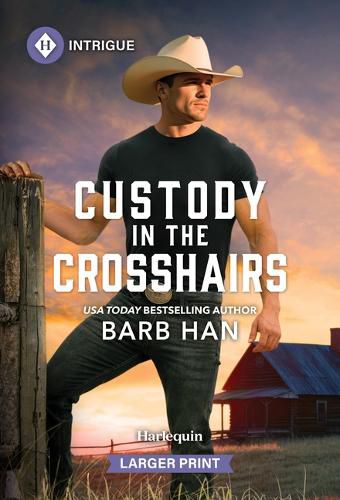 Cover image for Custody in the Crosshairs