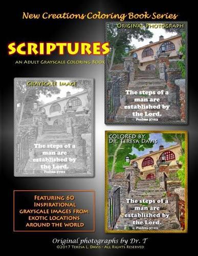 Cover image for New Creations Coloring Book Series: Scriptures