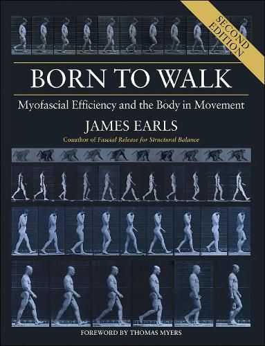 Cover image for Born to Walk: Myofascial Efficiency and the Body in Movement