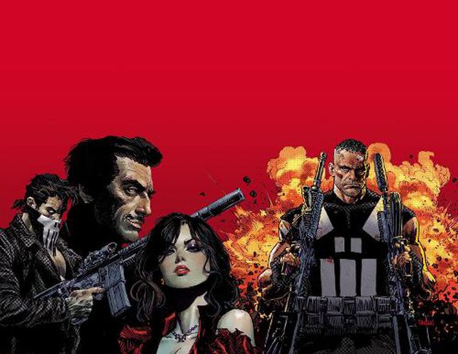 Cover image for Marvel Knights: Punisher