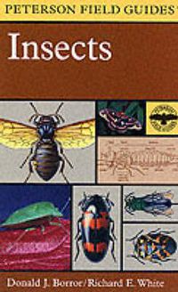 Cover image for Field Guide to Insects