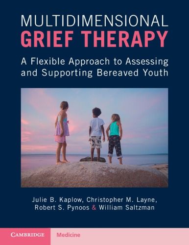 Cover image for Multidimensional Grief Therapy