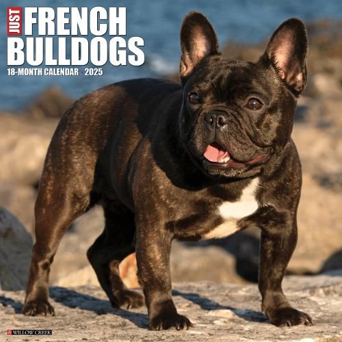 Cover image for French Bulldogs 2026 12 X 12 Wall Calendar