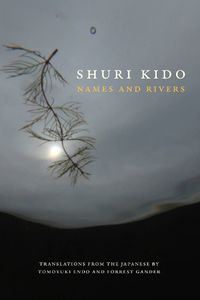 Cover image for Names and Rivers