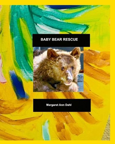 Cover image for Baby Bear Rescue