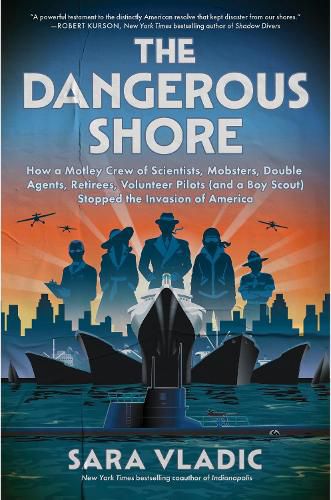 Cover image for The Dangerous Shore
