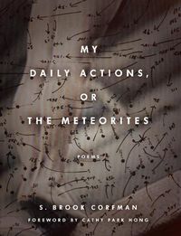 Cover image for My Daily Actions, or The Meteorites