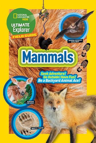 Cover image for Ultimate Explorer Field Guide: Mammals