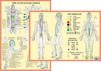 Cover image for Meridians and 5 Elements