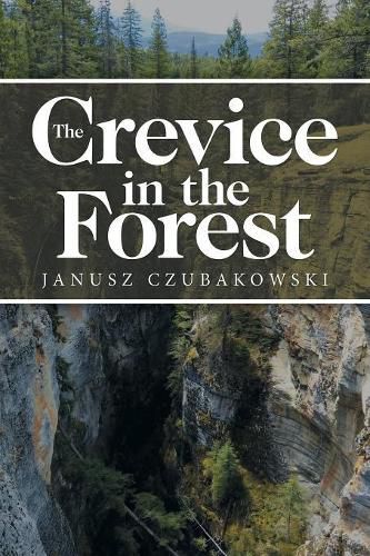 Cover image for The Crevice in the Forest