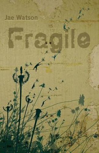 Cover image for Fragile