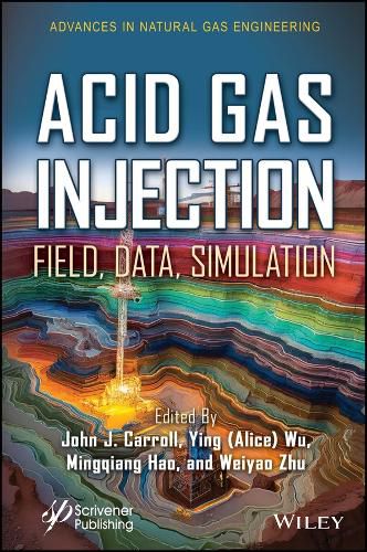 Cover image for Acid Gas Injection