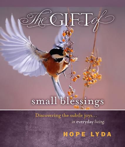 Cover image for The Gift of Small Blessings