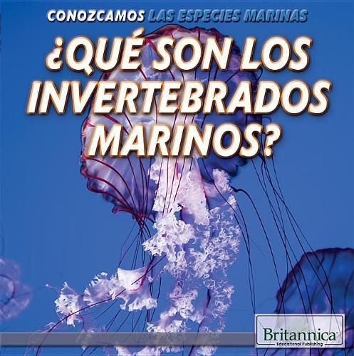 ?Que Son Los Invertebrados Marinos? (What Are Sea Invertebrates?)