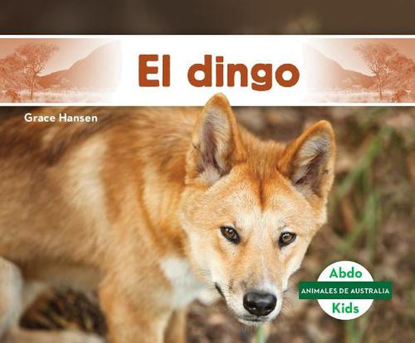 Cover image for El Dingo / Dingo