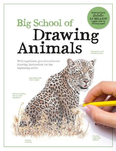 Cover image for Big School of Drawing Animals