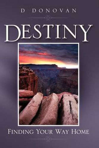 Cover image for Destiny Finding Your Way Home