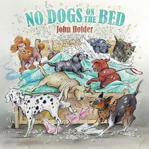 Cover image for No Dogs on the Bed