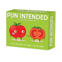 Cover image for Pun Intended 2025 6.2 X 5.4 Box Calendar