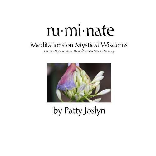 Cover image for ruminate: Meditations on Mystical Wisdoms