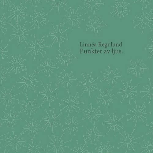 Cover image for Punkter av ljus.