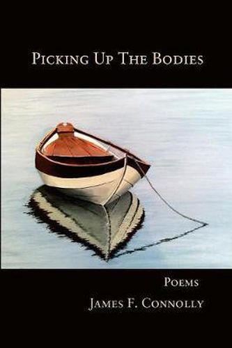 Cover image for Picking Up The Bodies