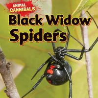 Cover image for Black Widow Spiders