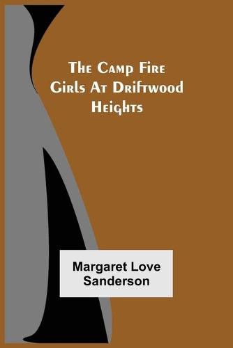 Cover image for The Camp Fire Girls At Driftwood Heights