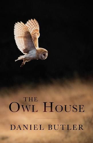 Cover image for The Owl House