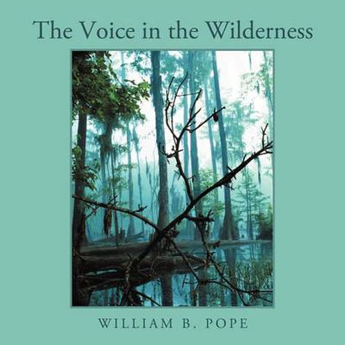 Cover image for The Voice in the Wilderness