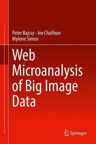 Cover image for Web Microanalysis of Big Image Data