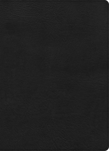 Cover image for CSB Study Bible, Large Print, Digital Study Edition, Black Leathertouch