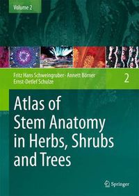 Cover image for Atlas of Stem Anatomy in Herbs, Shrubs and Trees: Volume 2