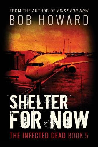 Cover image for Shelter for Now