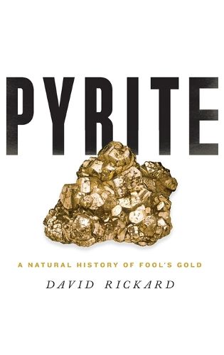 Cover image for Pyrite: A Natural History of Fool's Gold