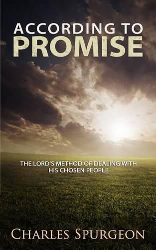 Cover image for According to Promise