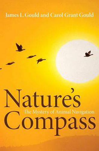 Cover image for Nature's Compass: The Mystery of Animal Navigation