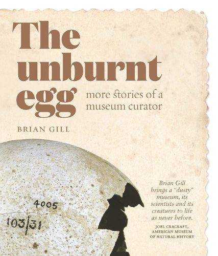 Cover image for The Unburnt Egg: More Stories from a Museum Curator