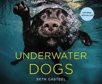 Cover image for Underwater Dogs