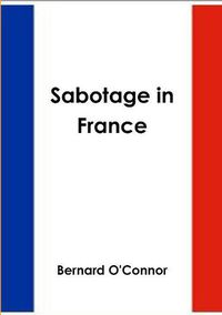 Cover image for Sabotage in France