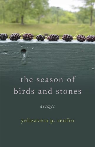 Cover image for The Season of Birds and Stones