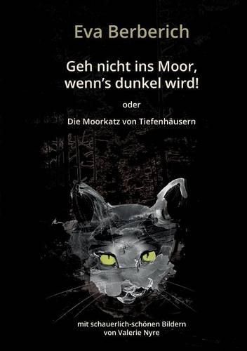 Cover image for Geh nicht ins Moor, wenn's dunkel wird!