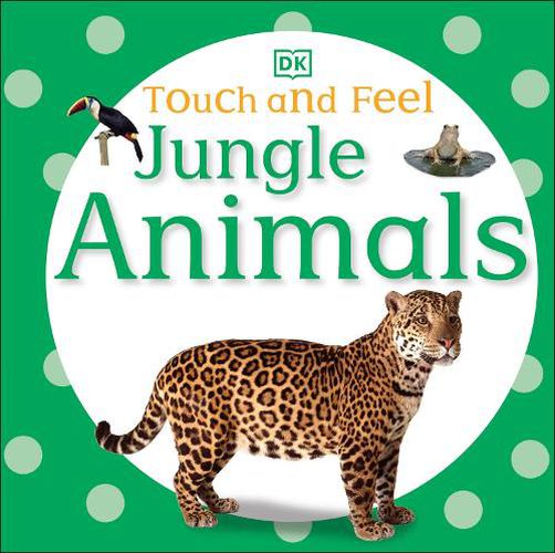 Cover image for Touch and Feel: Jungle Animals