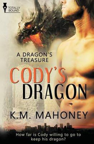 Cover image for A Dragon's Treasure: Cody's Dragon
