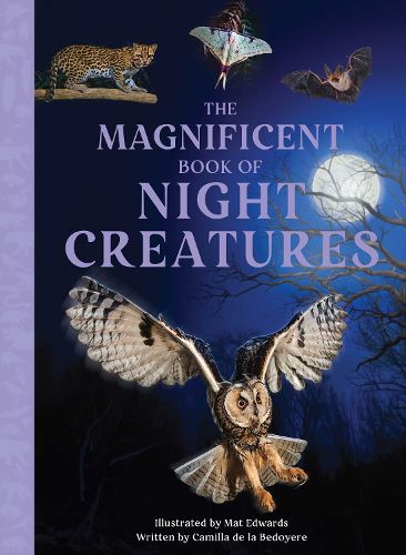 Cover image for The Magnificent Book of Night Creatures